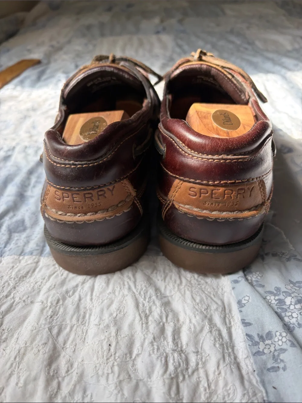 Sperry TopSider
